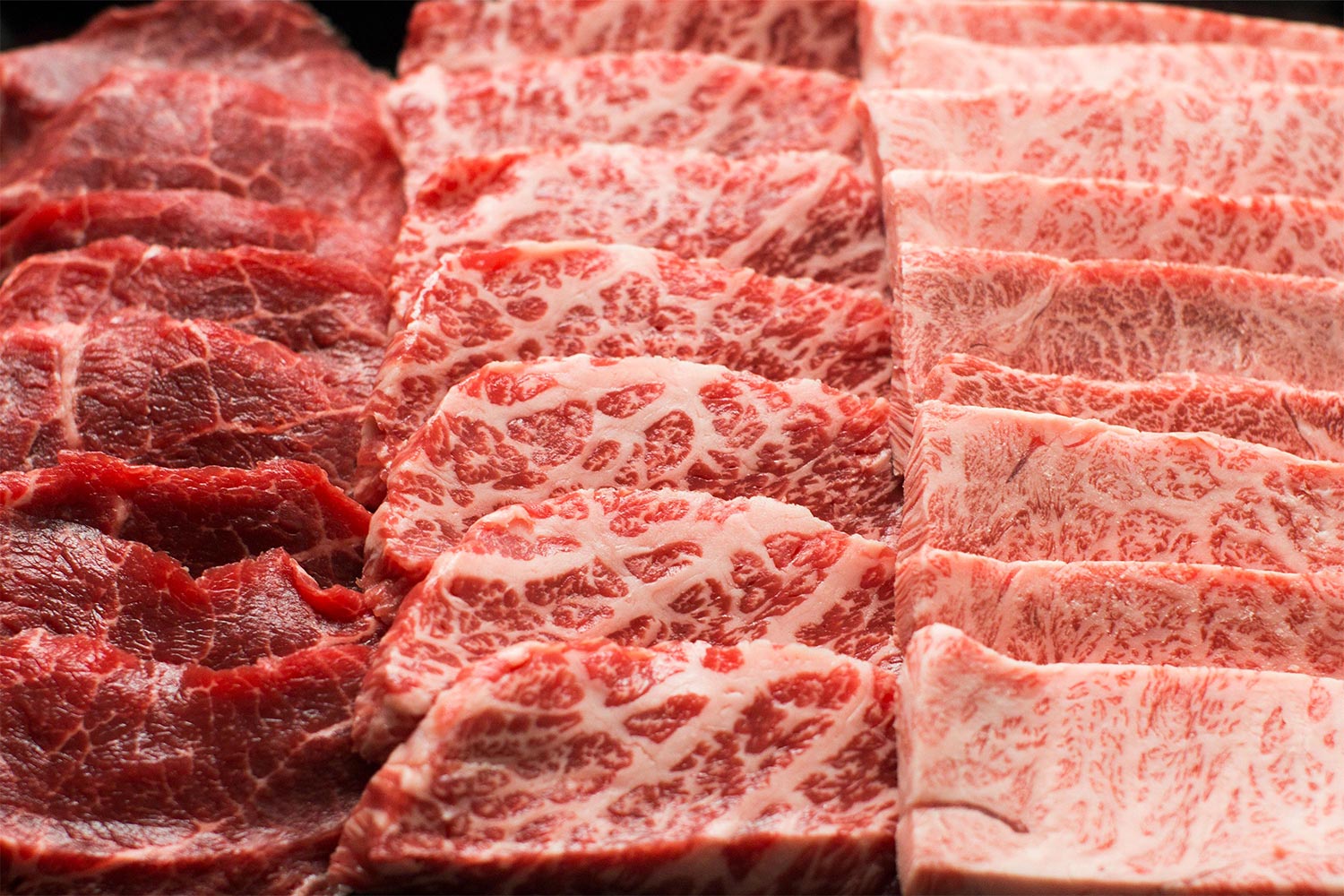 人気ランキング